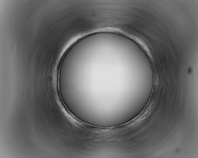 X0000099411054200805090723