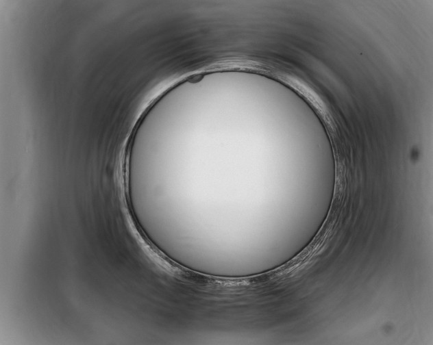 X0000099411055200805090723