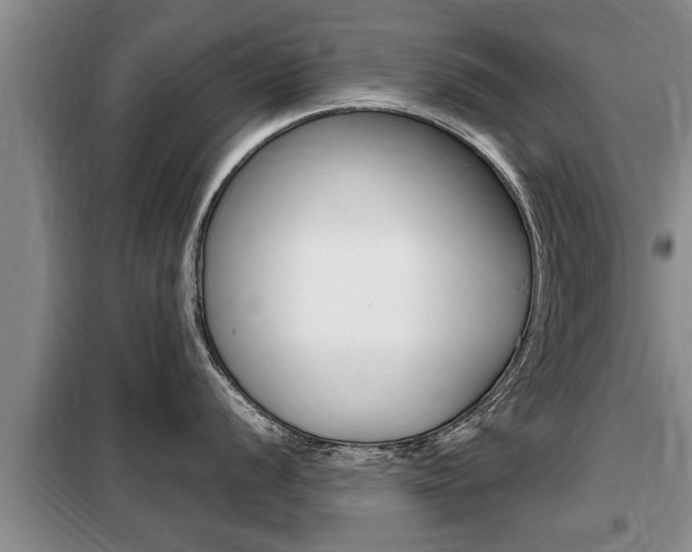 X0000099411056200805090723