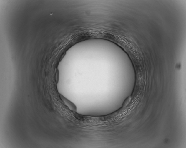 X0000099411057200805090722