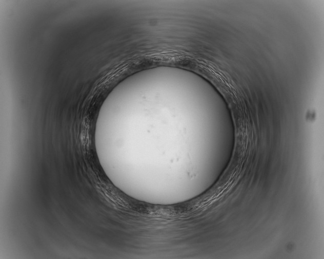 X0000099411058200805090722