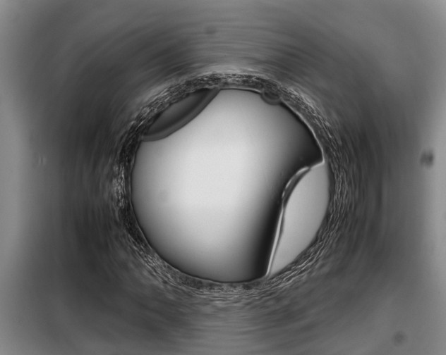 X0000099411062200805090722
