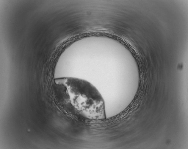 X0000099411063200805090722