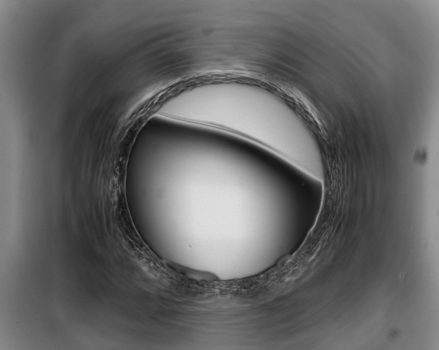 X0000099411064200805090722