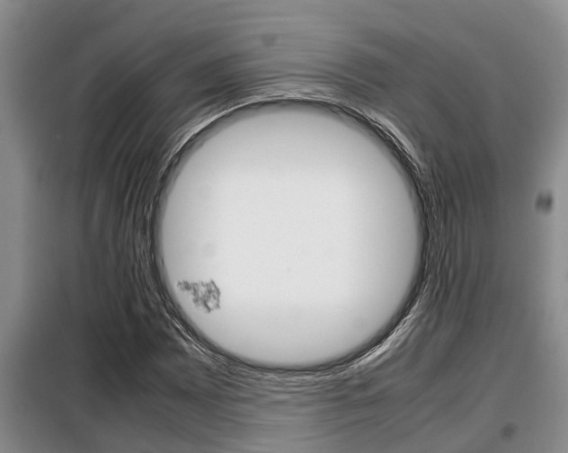 X0000099411065200805090722