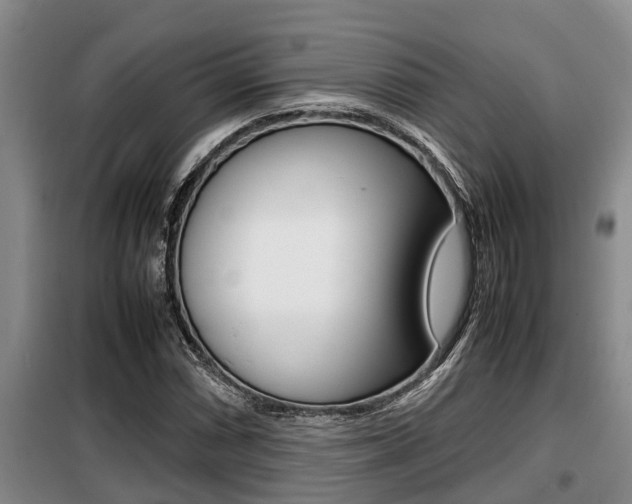 X0000099411066200805090722