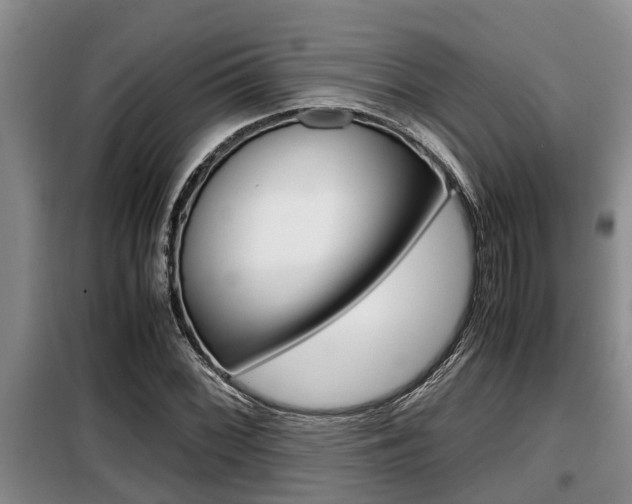 X0000099411068200805090722