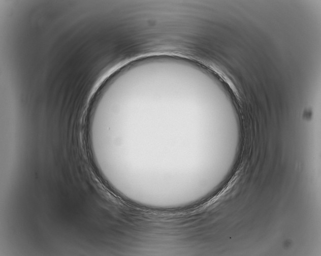 X0000099411069200805090722