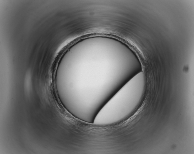 X0000099411070200805090722