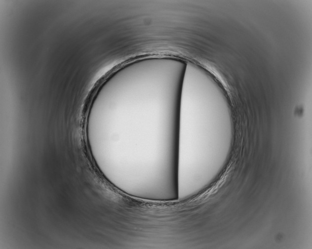 X0000099411071200805090722