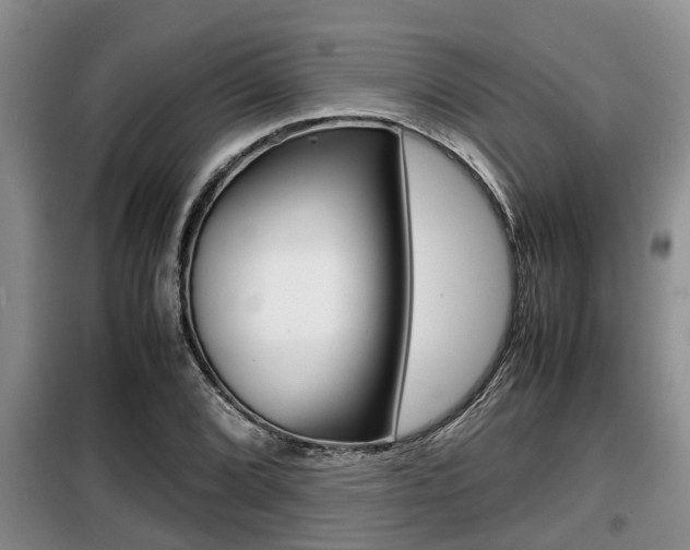 X0000099411072200805090722