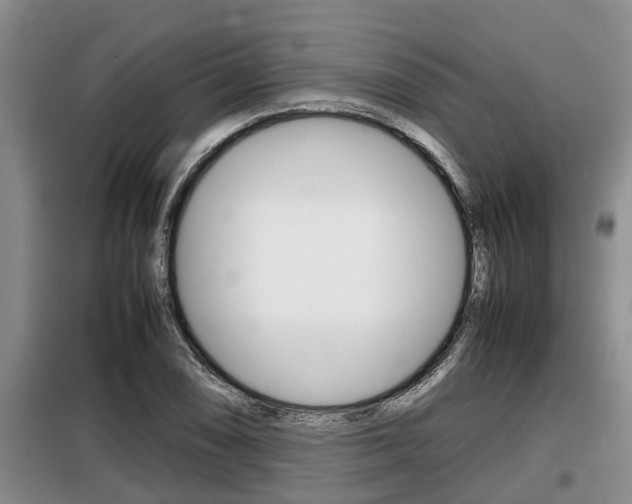 X0000099411074200805090722