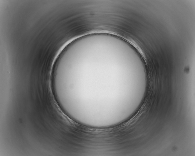 X0000099411076200805090722