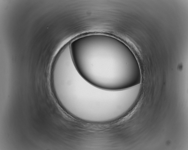 X0000099411077200805090722