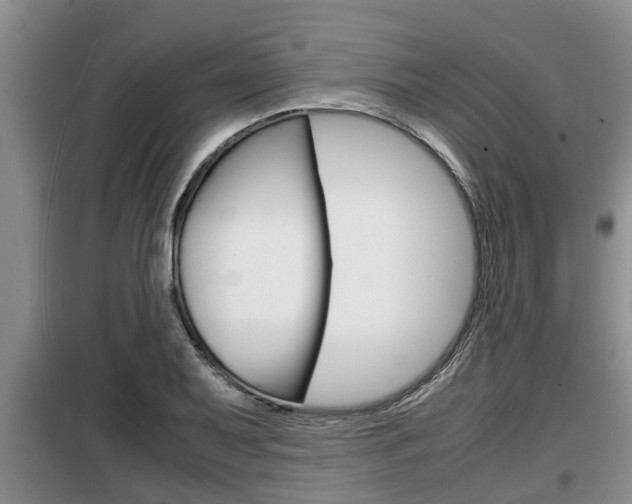 X0000099411079200805090722
