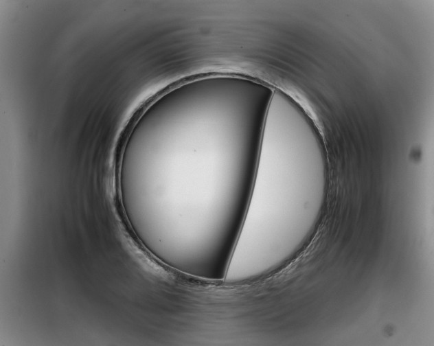 X0000099411080200805090722