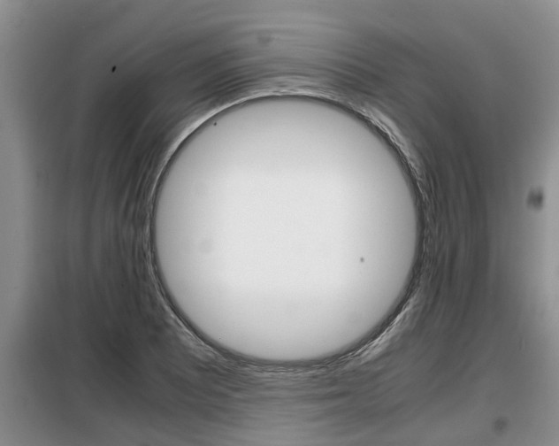 X0000099411081200805090722