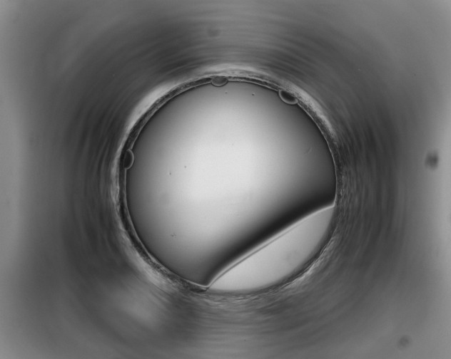 X0000099411082200805090722