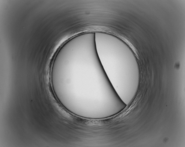 X0000099411083200805090722