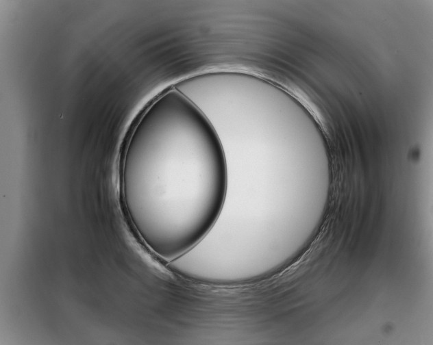 X0000099411084200805090722