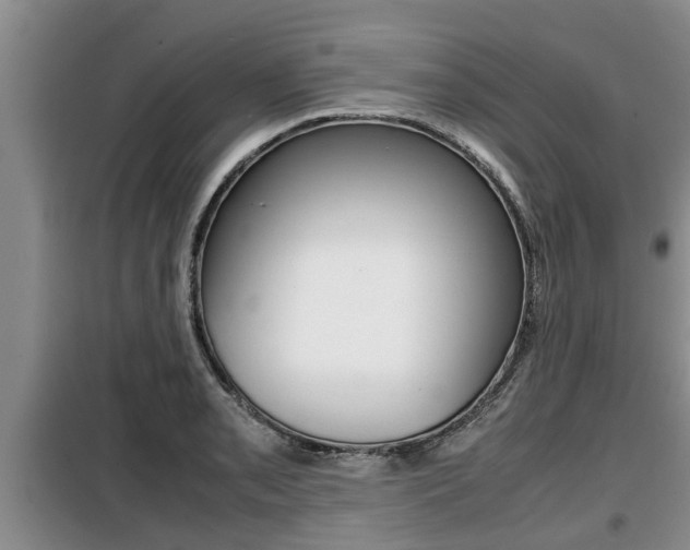 X0000099411085200805090722
