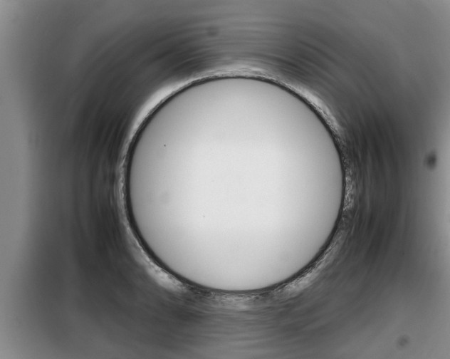 X0000099411086200805090722