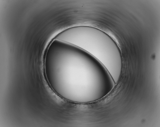 X0000099411088200805090722