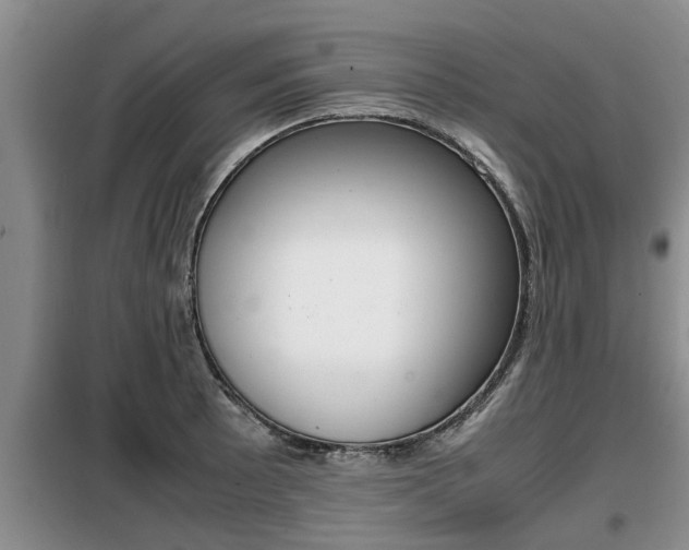 X0000099411089200805090722