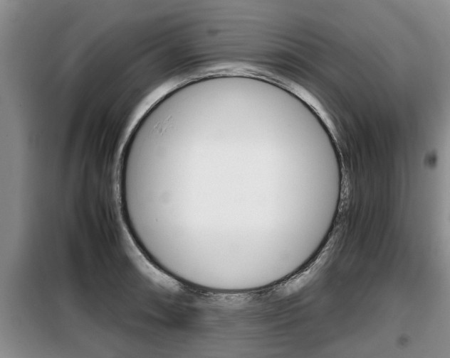 X0000099411090200805090722