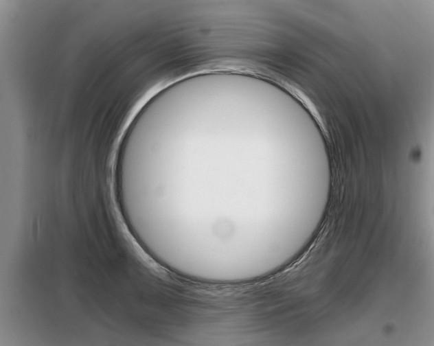 X0000099411091200805090722