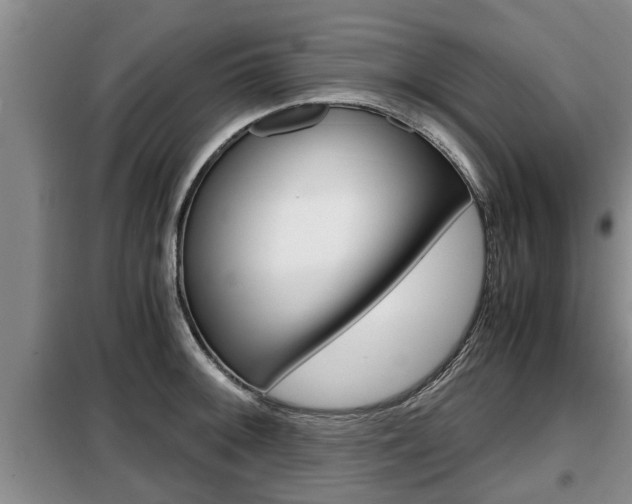 X0000099411092200805090722