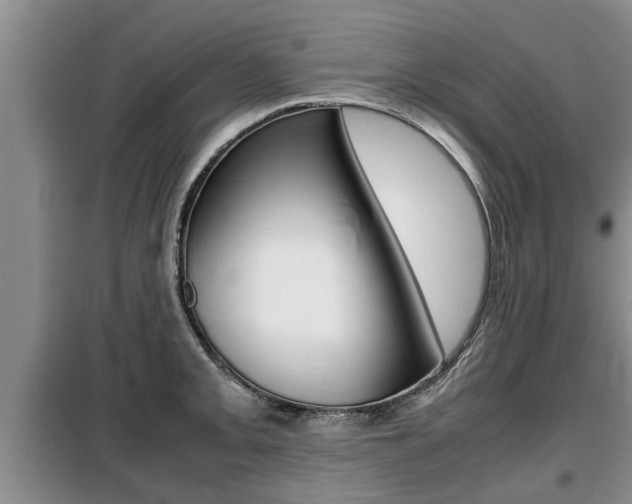 X0000099411093200805090721
