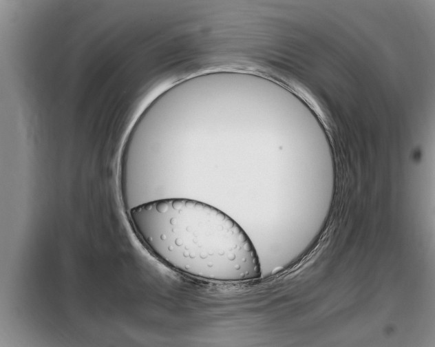 X0000099411095200805090721