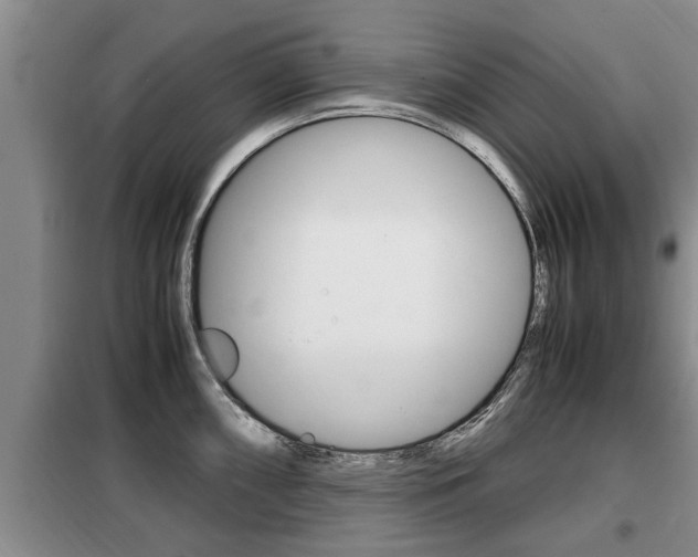 X0000099411098200805090721