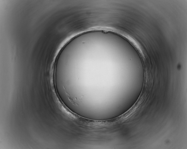 X0000099411102200805090721