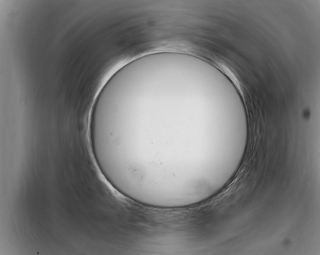 X0000099411103200805090721