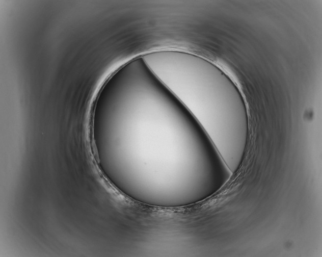 X0000099411104200805090721