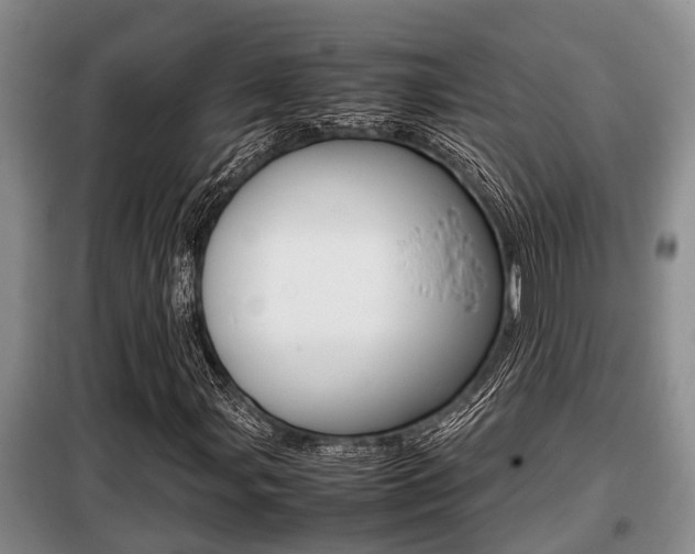X0000099411107200805090721