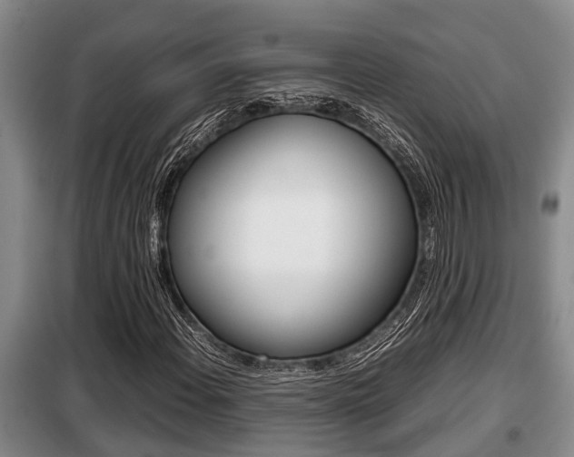 X0000099411108200805090721