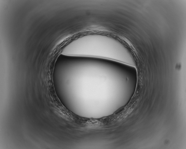 X0000099411112200805090721