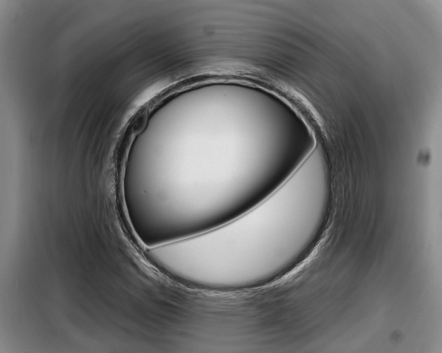 X0000099411114200805090721