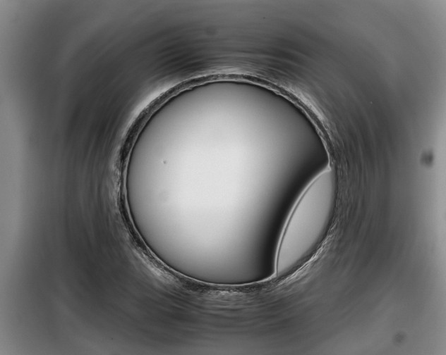 X0000099411119200805090721