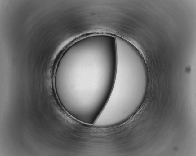 X0000099411120200805090721