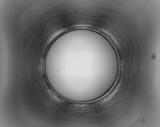 X0000099411121200805090721
