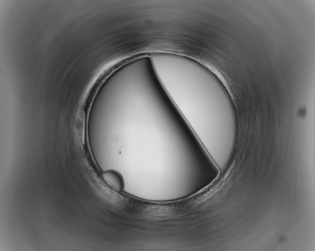 X0000099411123200805090721