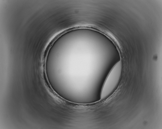X0000099411124200805090721