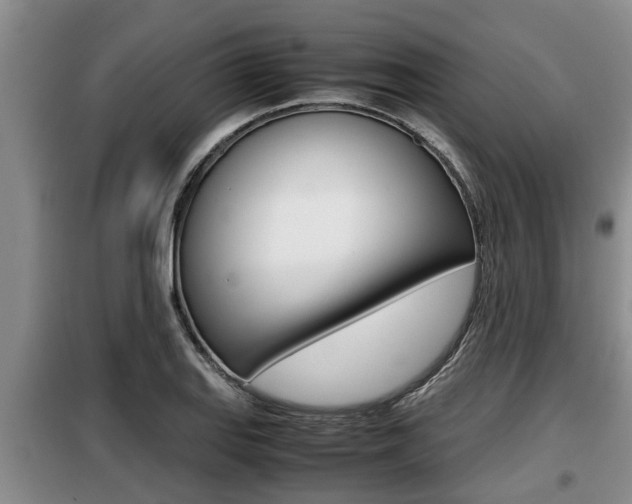 X0000099411127200805090721