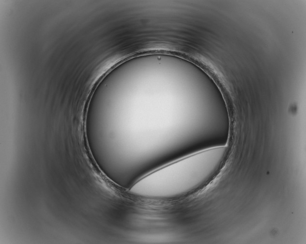 X0000099411129200805090721