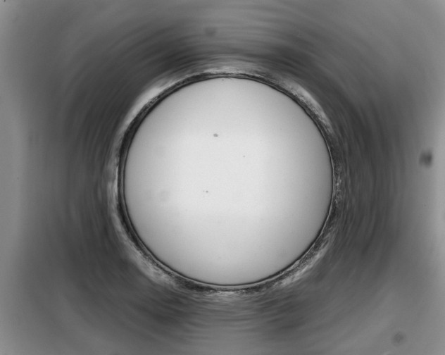 X0000099411130200805090721
