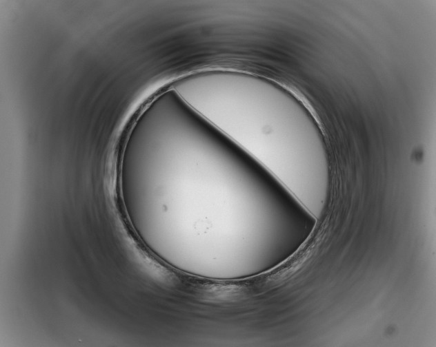 X0000099411131200805090721